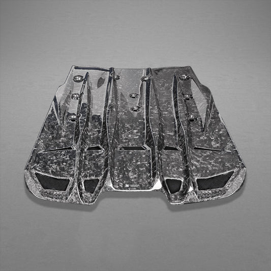 Capristo Porsche 991.2 GT3RS - Forged Carbon Fiber Engine Cover/Diffuser